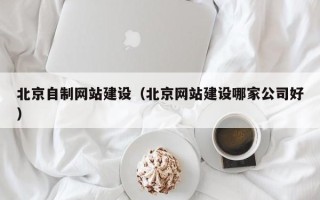 伊春北京自制网站建设（北京网站建设哪家公司好）