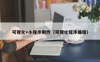 伊春可视化+小程序制作（可视化程序编程）